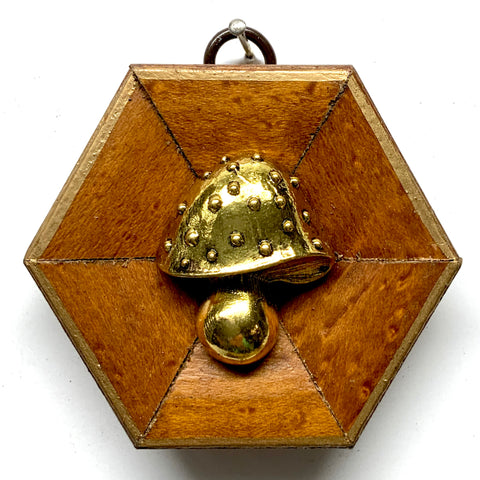 Wooden Frame with Mushroom (3.25