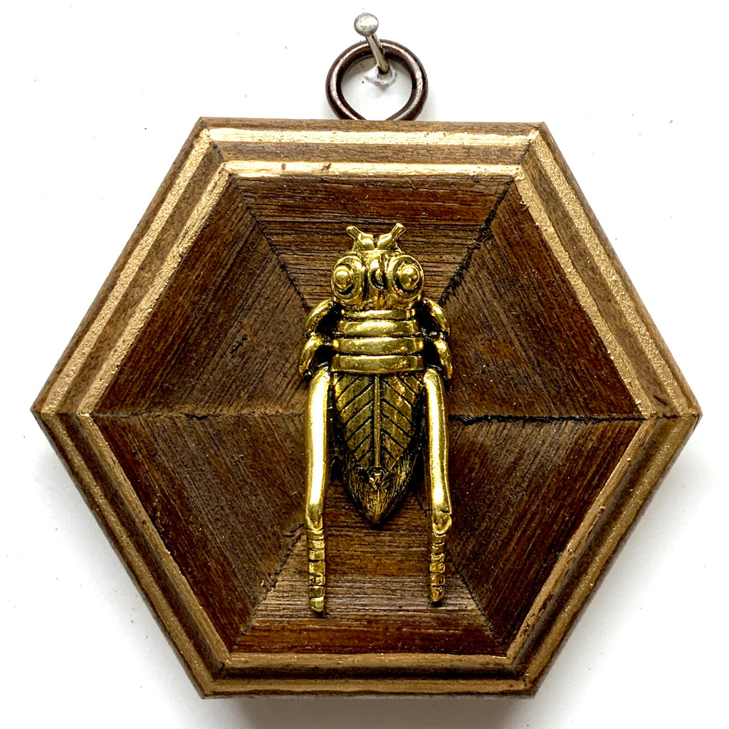 Wooden Frame with Grasshopper (3.75