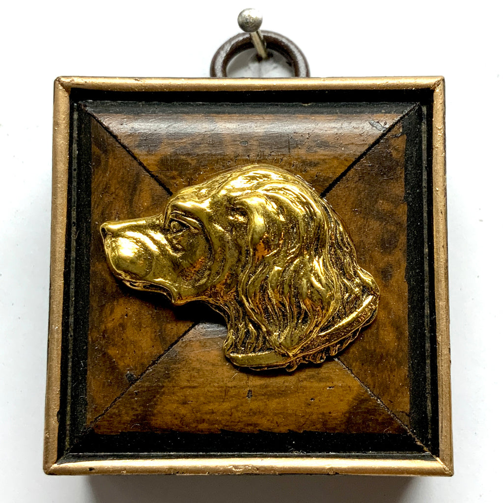 Burled Frame with Handsome Dog (2
