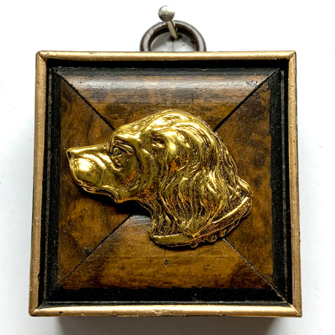 Burled Frame with Handsome Dog (2