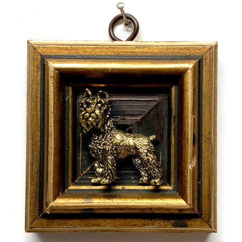 Gilt Frame with Schnauzer (3.25