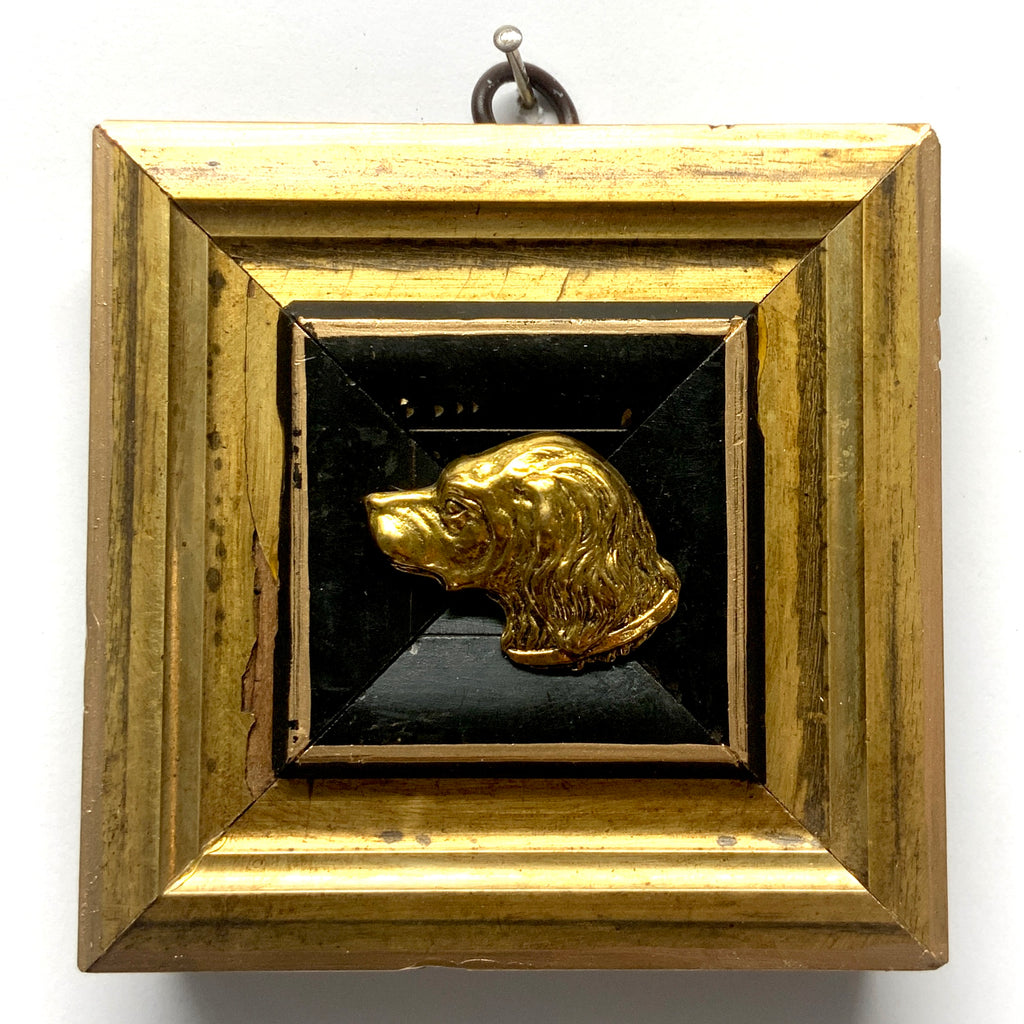 Gilt Frame with Handsome Dog (3.75