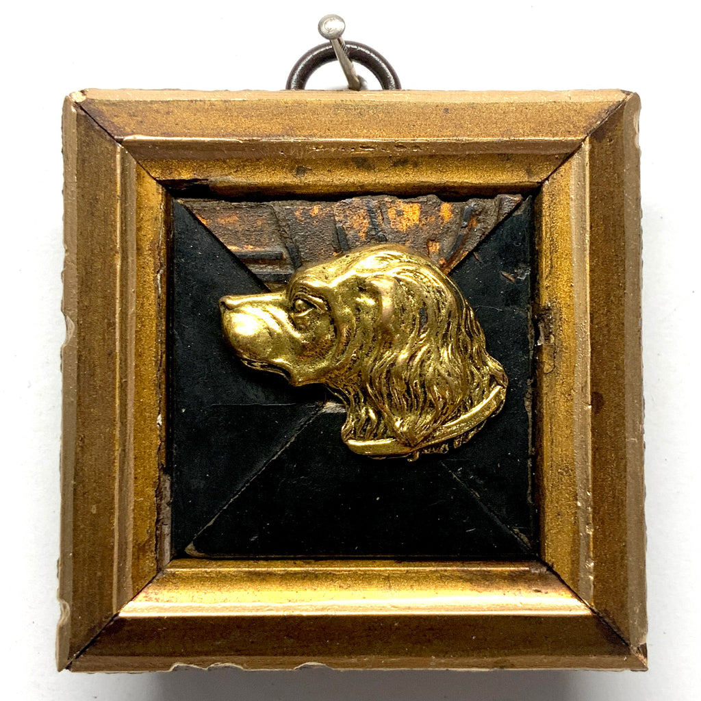 Gilt Frame with Handsome Dog (2.75