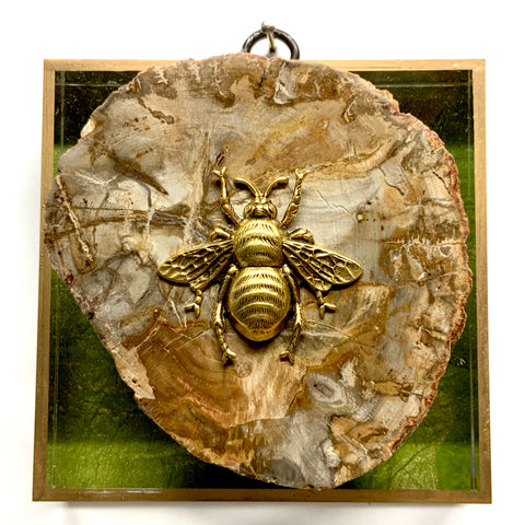 Acrylic Frame with Grande Bee on Petrified Rock / Slight Imperfections (4