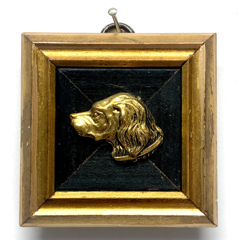 Gilt Frame with Handsome Dog (3