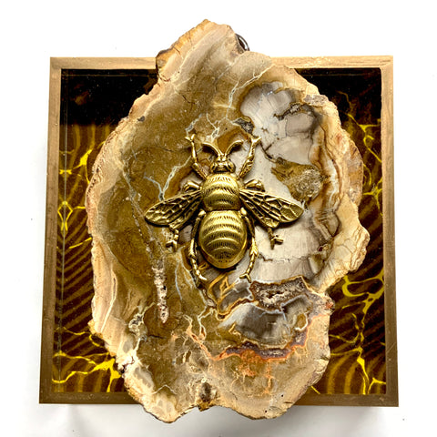 Acrylic Frame with Grande Bee on Petrified Wood / Slight Imperfections (4