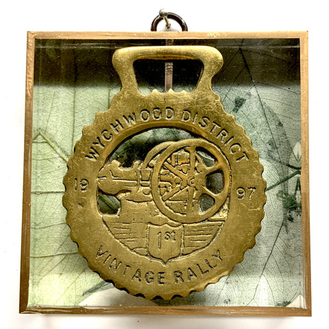 Acrylic Frame with Horse Brass on Mulberry Paper / Slight Imperfections (4