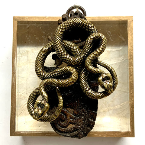 Acrylic Frame with Snakes on Carved Wood / Slight Imperfections (3