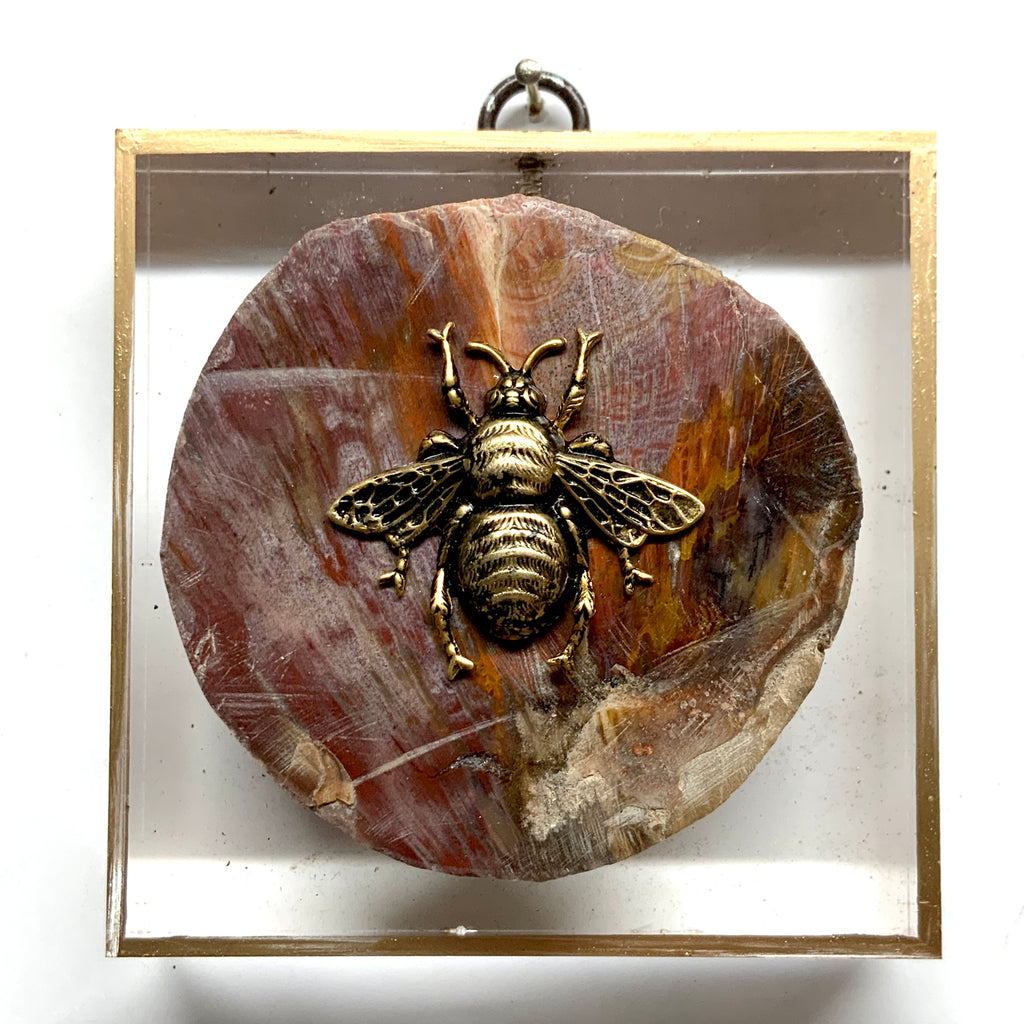 Acrylic Frame with Grande Bee on Petrified Wood / Slight Imperfections (4