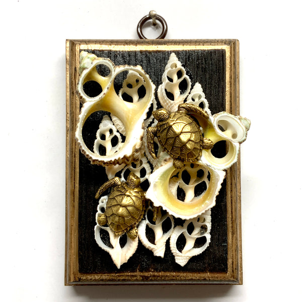 Acrylic Frame with Turtles on Shells (3