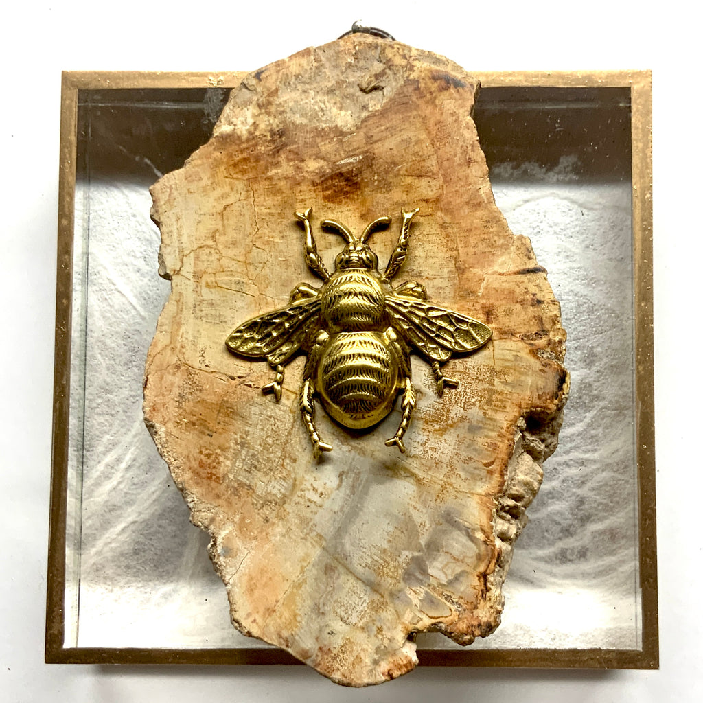 Acrylic Frame with Grande Bee on Petrified Wood / Slight Imperfections (4