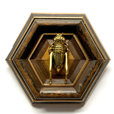 Wooden Frame with Grasshopper (4.5