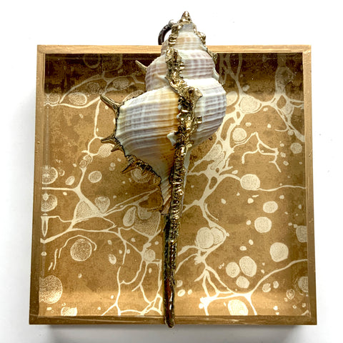 Acrylic Frame with Shell on Marbled Paper / Slight Imperfections (4