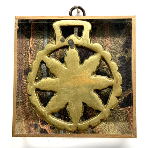 Acrylic Frame with Horse Brass / Slight Imperfections (4