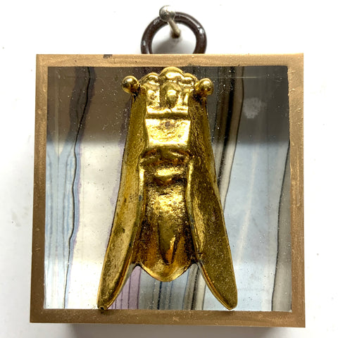 Acrylic Frame with Cicada on Marbled Paper / Slight Imperfections (2