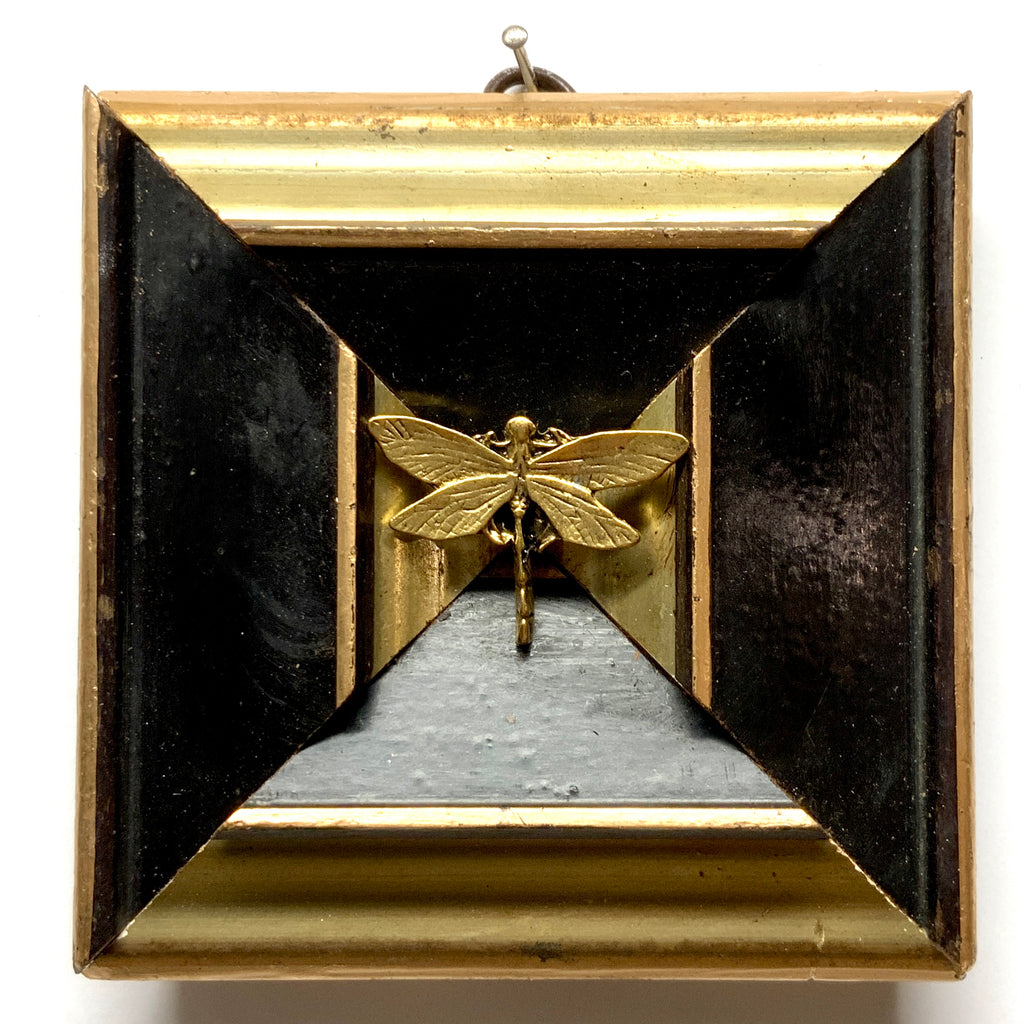 Gilt and Lacquered Frame with Dragonfly (4.5