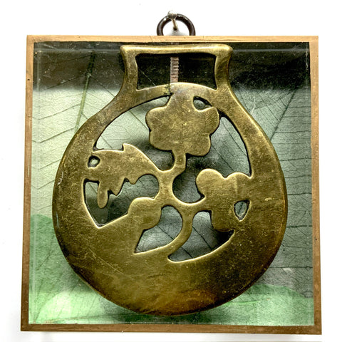 Acrylic Frame with Horse Brass / Slight Imperfections (4