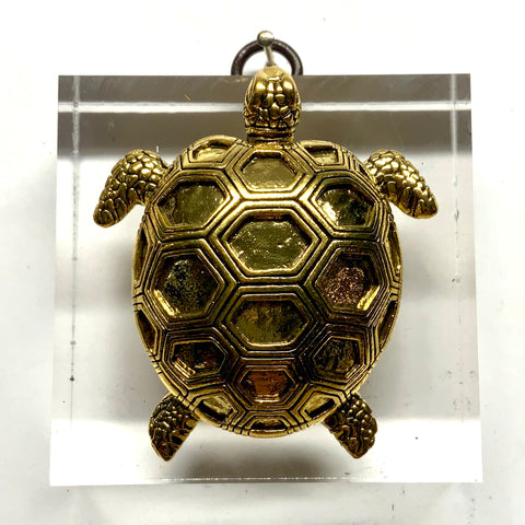 Lucite Acrylic Frame with Turtle / Slight Imperfections (2.75” wide)