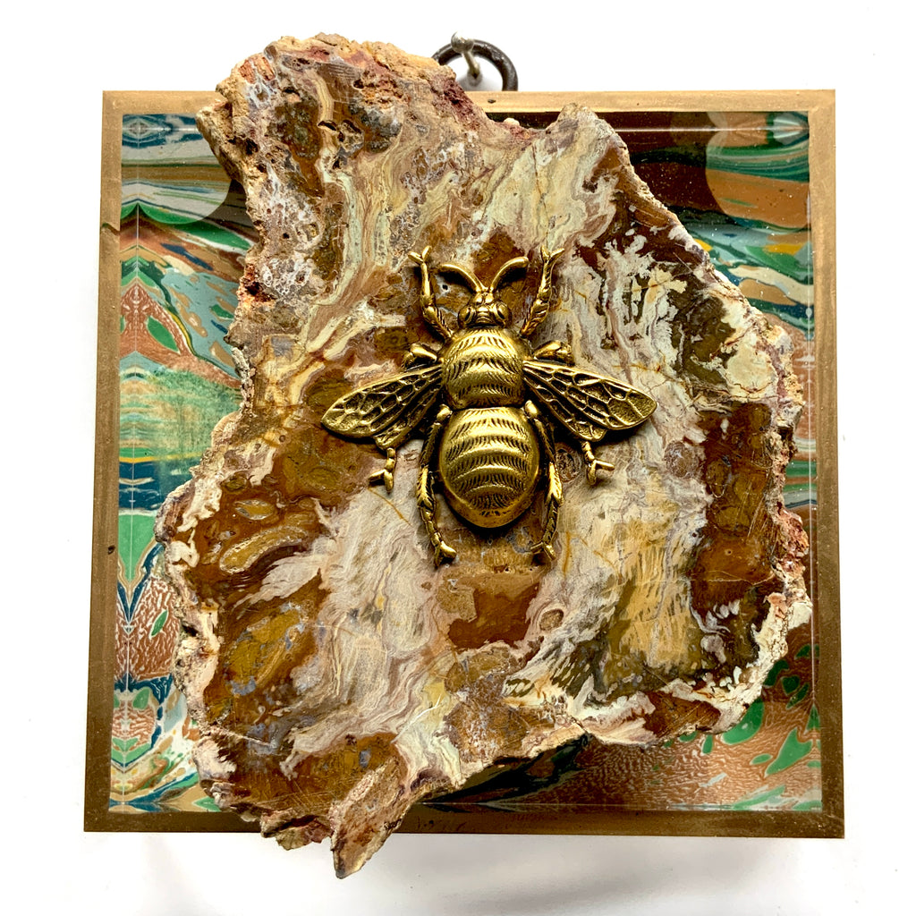 Acrylic Frame with Grande Bee on Petrified Wood / Slight Imperfections (4