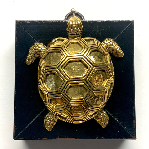 Modern Lacquered Frame with Turtle (2.75” wide)