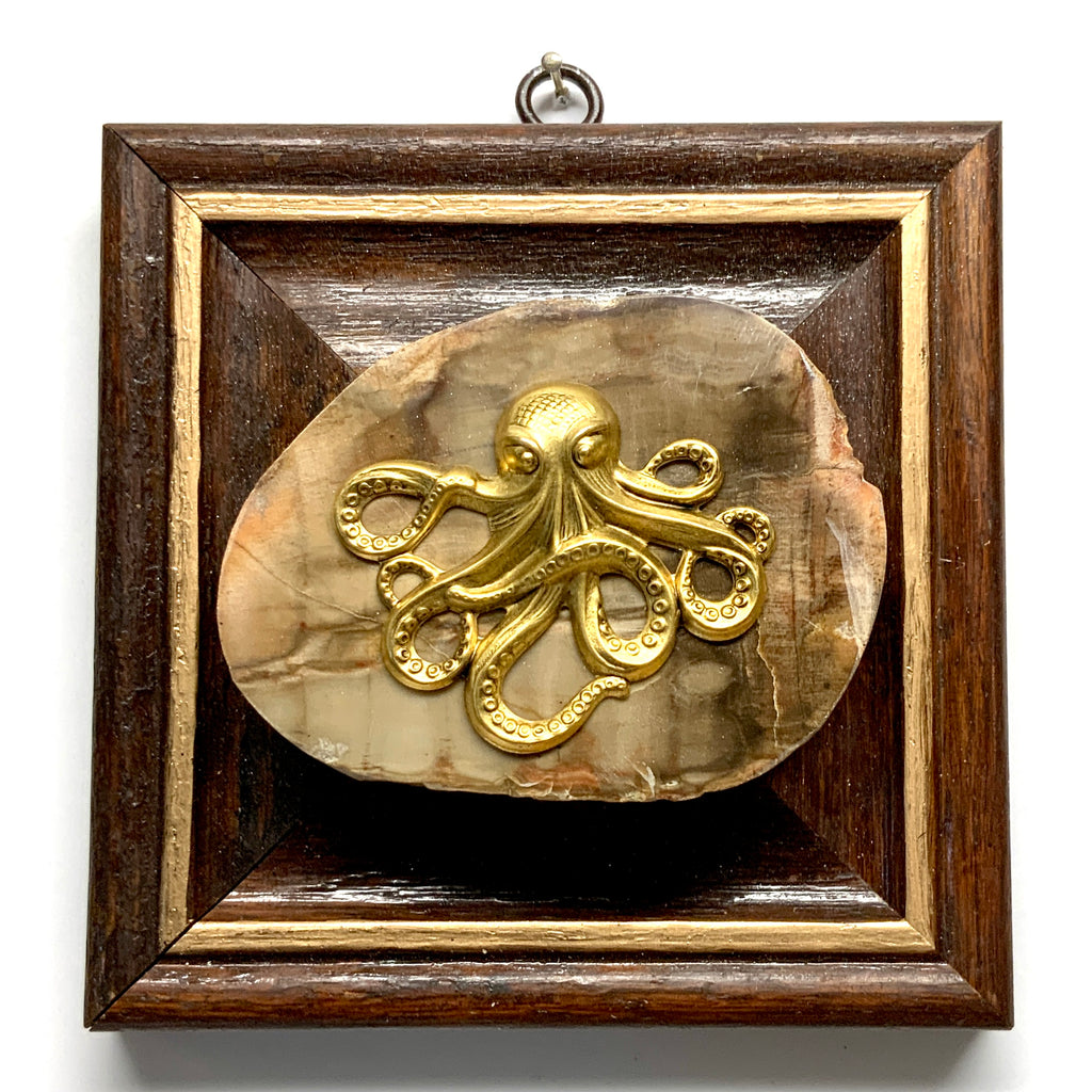 Wooden Frame with Octopus on Petrified Wood (5.5