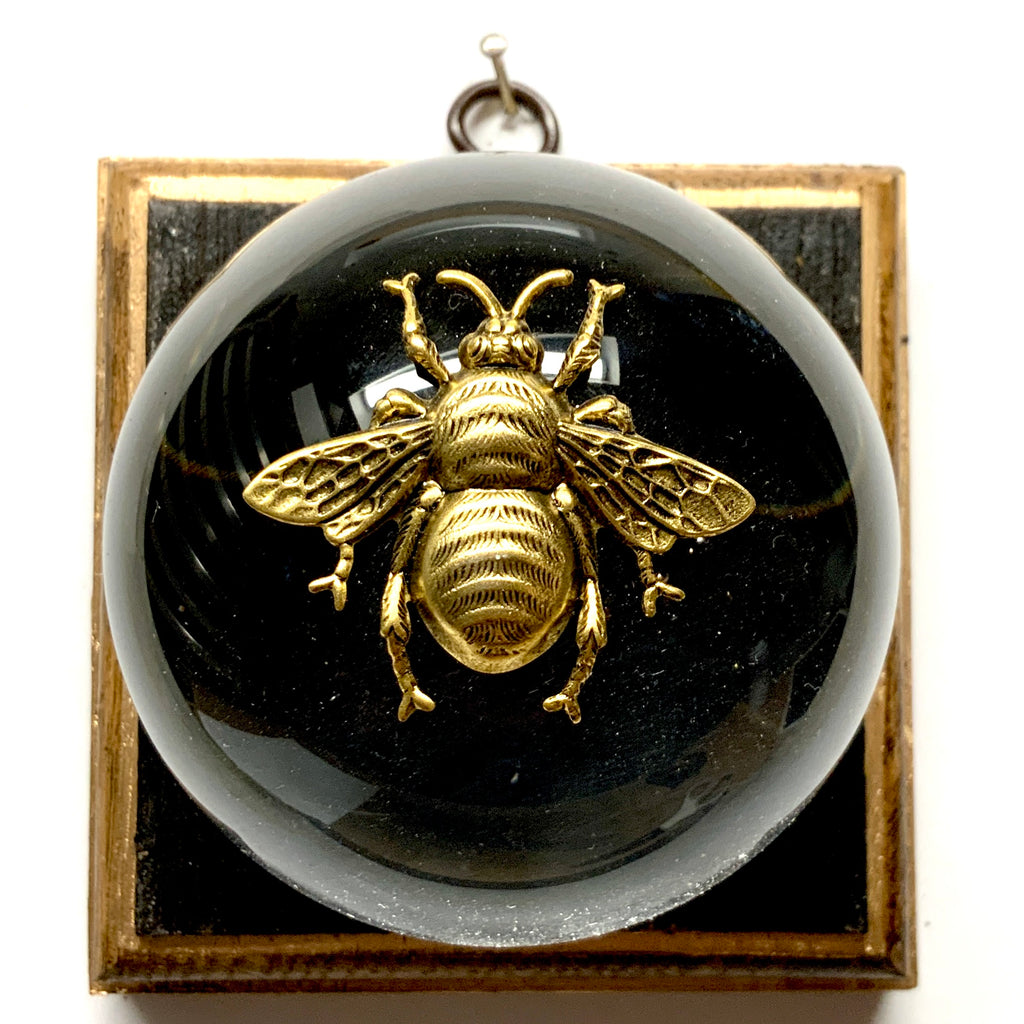 Bourbon Barrel Frame with Grande Bee on Acrylic Dome / Slight Imperfections (4