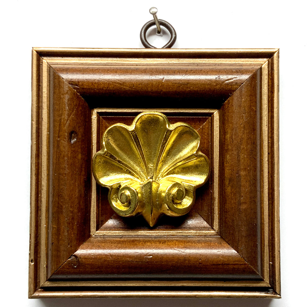 Wooden Frame with Shell (4