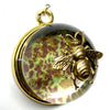 Acrylic Dome Frame with Grande Bee / Slight Imperfections (2.5