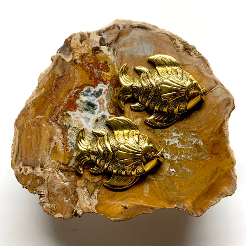 Petrified Wood Frame with Fish (5