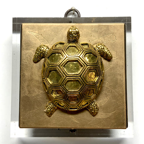 Lucite Acrylic Frame with Turtle on Compact / Slight Imperfections (3.75” wide)