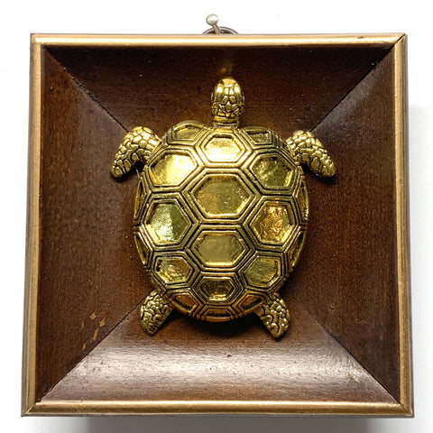 Wooden Frame with Turtle (4