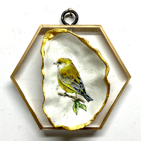 Acrylic Frame with Bird Oyster Shell / Slight Imperfections (4